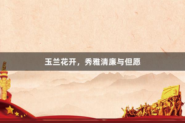 玉兰花开，秀雅清廉与但愿