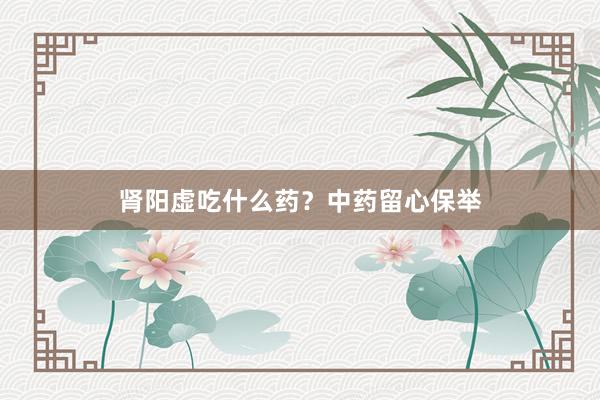 肾阳虚吃什么药？中药留心保举